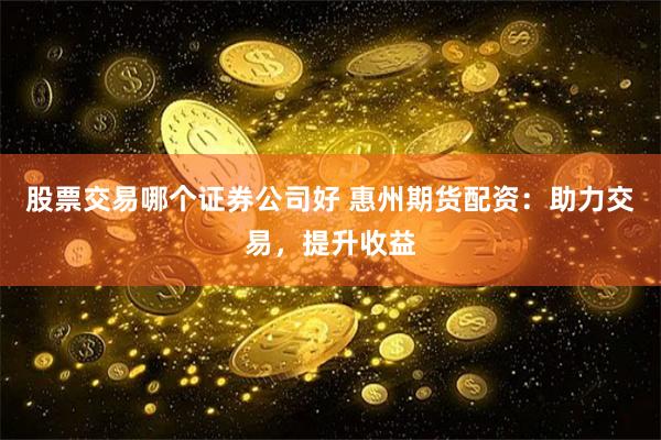 股票交易哪个证券公司好 惠州期货配资：助力交易，提升收益