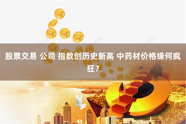 股票交易 公司 指数创历史新高 中药材价格缘何疯狂？